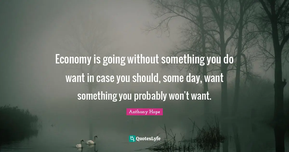 Economy is going without something you do want in case you should, some day, want something you probably won't want.
