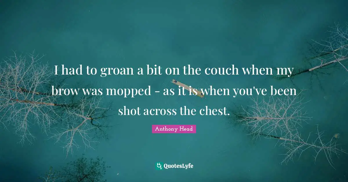 I had to groan a bit on the couch when my brow was mopped - as it is when you've been shot across the chest.