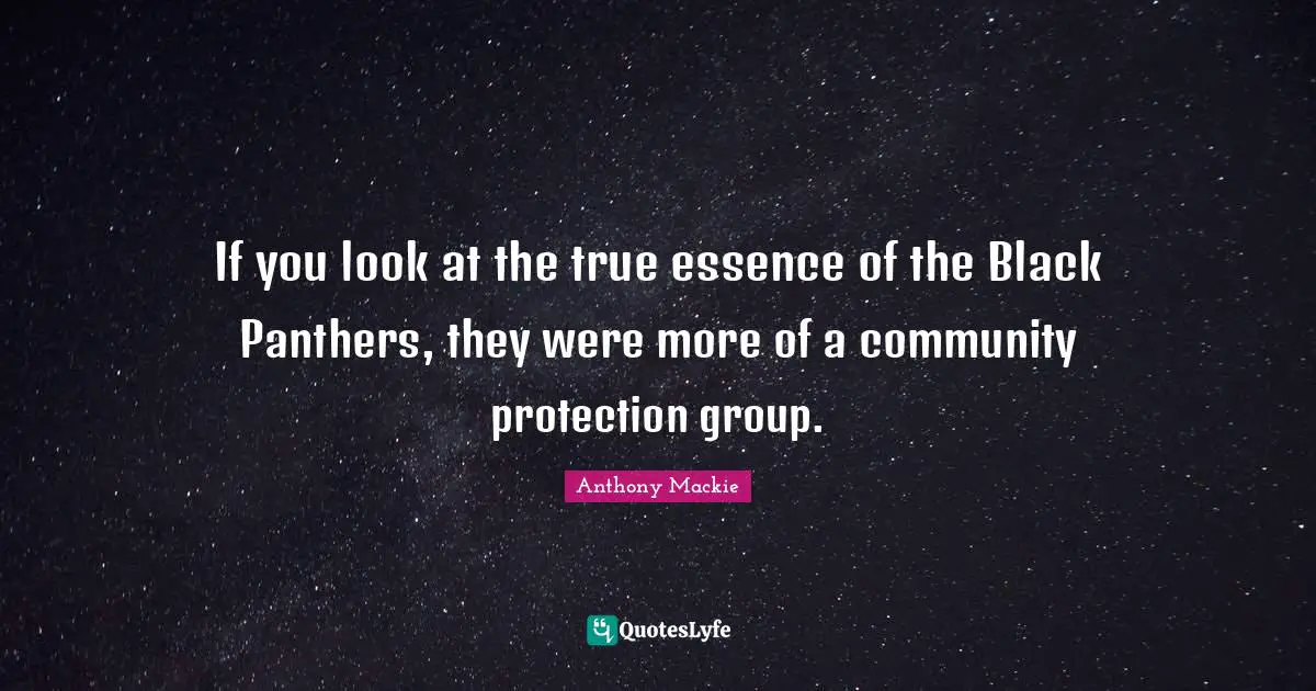 If you look at the true essence of the Black Panthers, they were more of a community protection group.