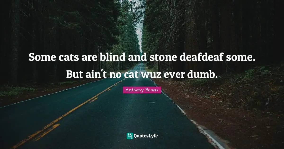 Some cats are blind and stone deafdeaf some. But ain't no cat wuz ever dumb.