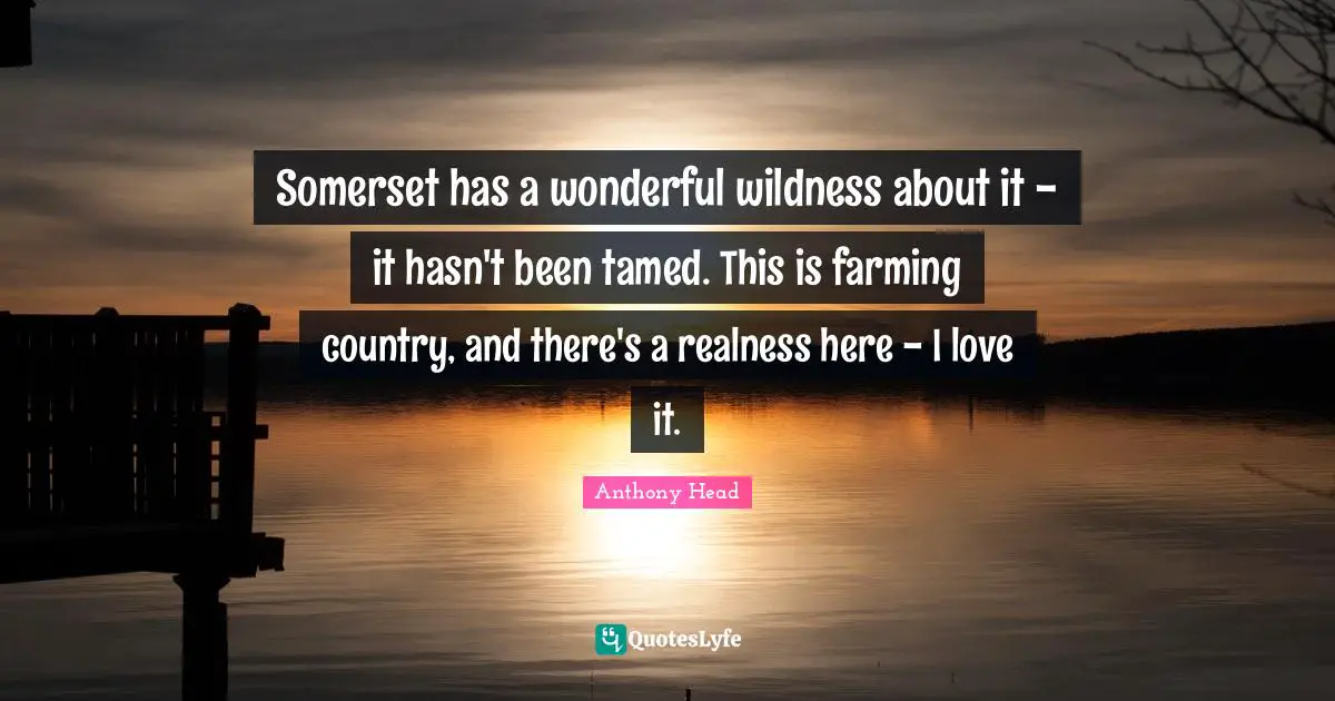 Somerset has a wonderful wildness about it - it hasn't been tamed. This is farming country, and there's a realness here - I love it.
