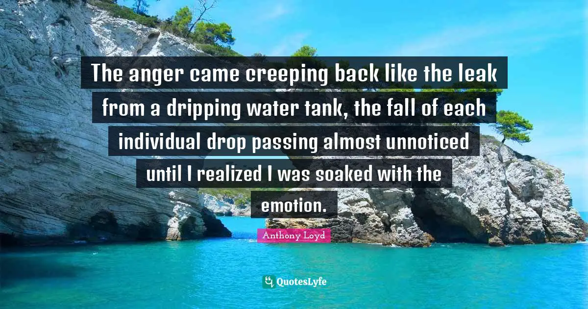 The anger came creeping back like the leak from a dripping water tank, the fall of each individual drop passing almost unnoticed until I realized I was soaked with the emotion.