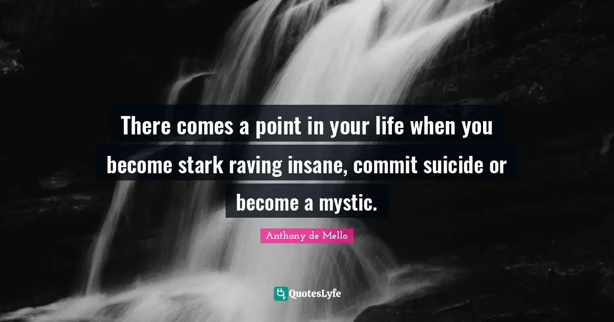 There comes a point in your life when you become stark raving insane, commit suicide or become a mystic.
