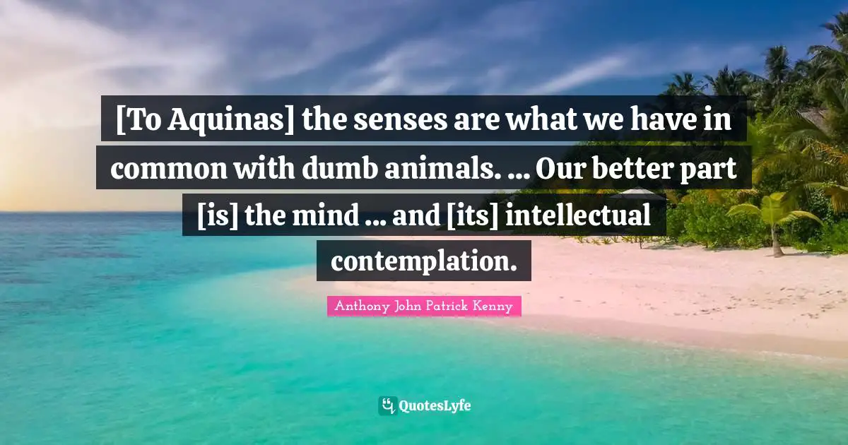 [To Aquinas] the senses are what we have in common with dumb animals. ... Our better part [is] the mind ... and [its] intellectual contemplation.