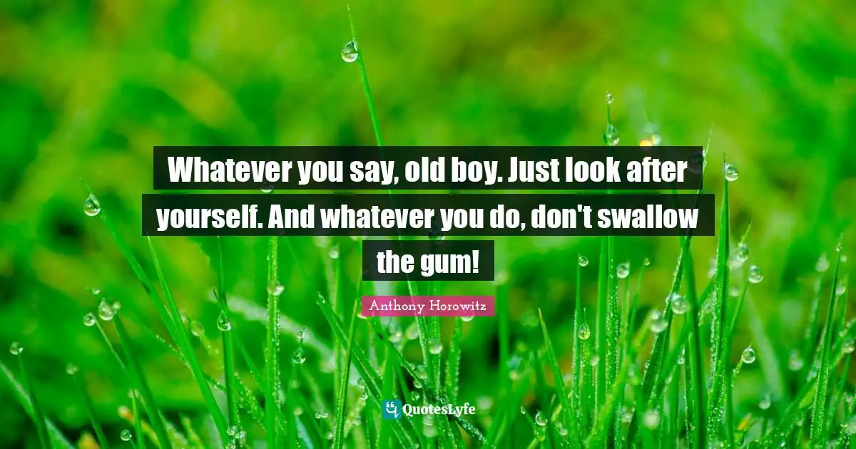 Anthony Horowitz Quotes: "Whatever you say, old boy. Just look after yourself. And whatever you do, don't swallow the gum!"