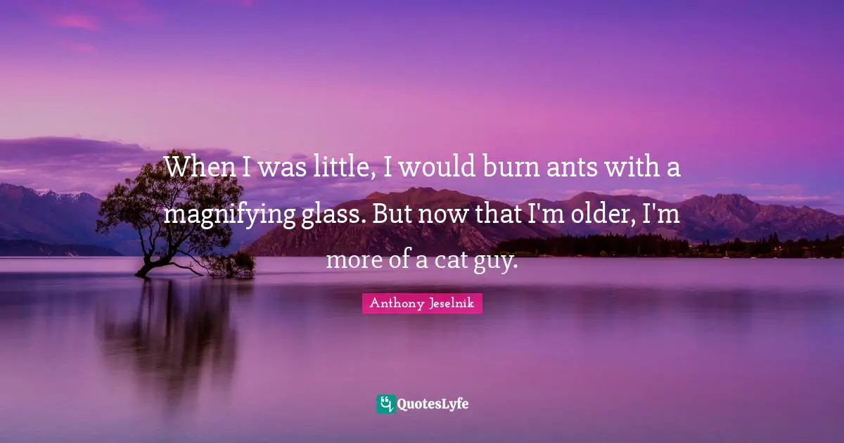 Anthony Jeselnik Quotes: "When I was little, I would burn ants with a magnifying glass. But now that I'm older, I'm more of a cat guy."