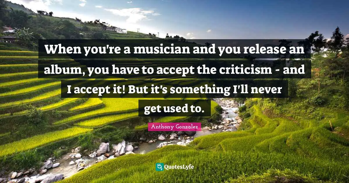 When you're a musician and you release an album, you have to accept the criticism - and I accept it! But it's something I'll never get used to.