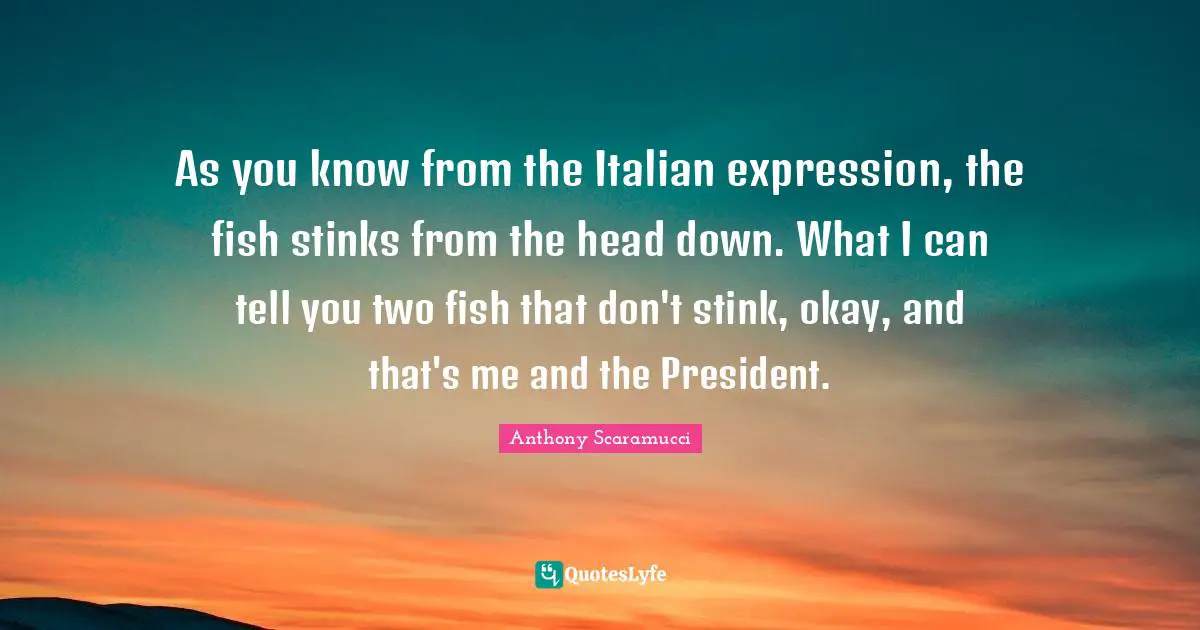 Stink Quotes: "As you know from the Italian expression, the fish stinks from the head down. What I can tell you two fish that don't stink, okay, and that's me and the President."