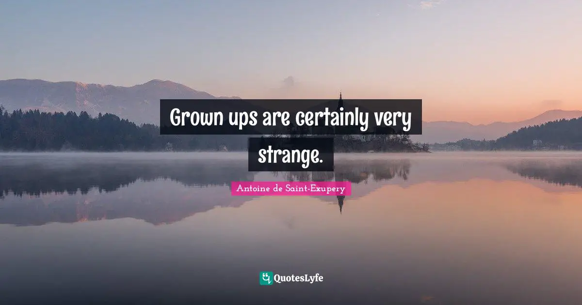 Grown ups are certainly very strange.