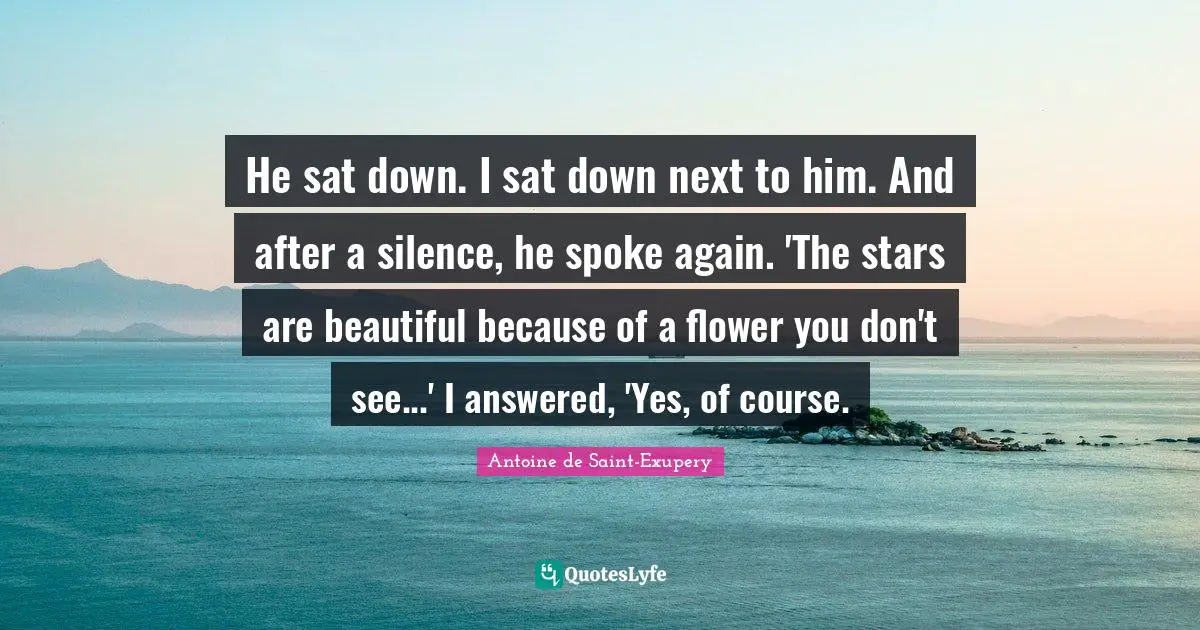 He sat down. I sat down next to him. And after a silence, he spoke again. 'The stars are beautiful because of a flower you don't see...' I answered, 'Yes, of course.