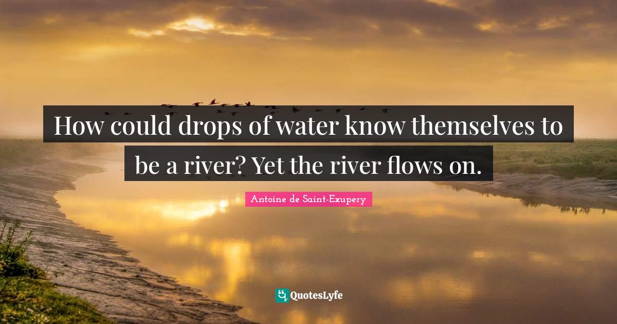 How could drops of water know themselves to be a river? Yet the river