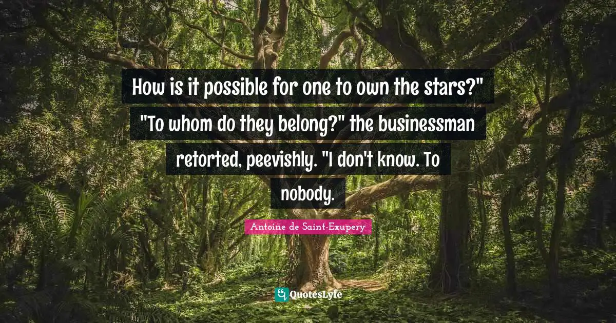 How is it possible for one to own the stars?" "To whom do they belong?" the businessman retorted, peevishly. "I don't know. To nobody.