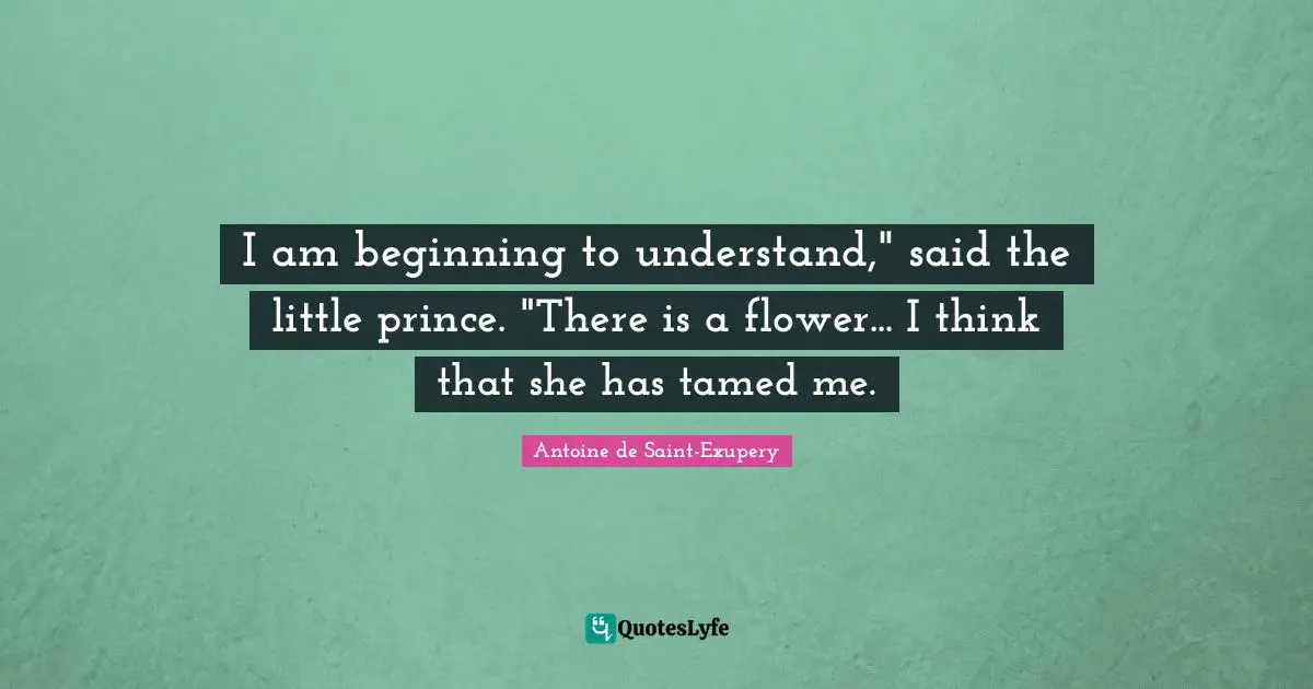 I am beginning to understand," said the little prince. "There is a flower... I think that she has tamed me.