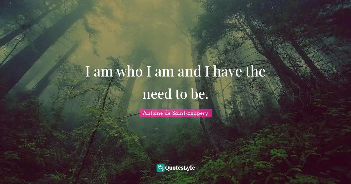 I am who I am and I have the need to be.