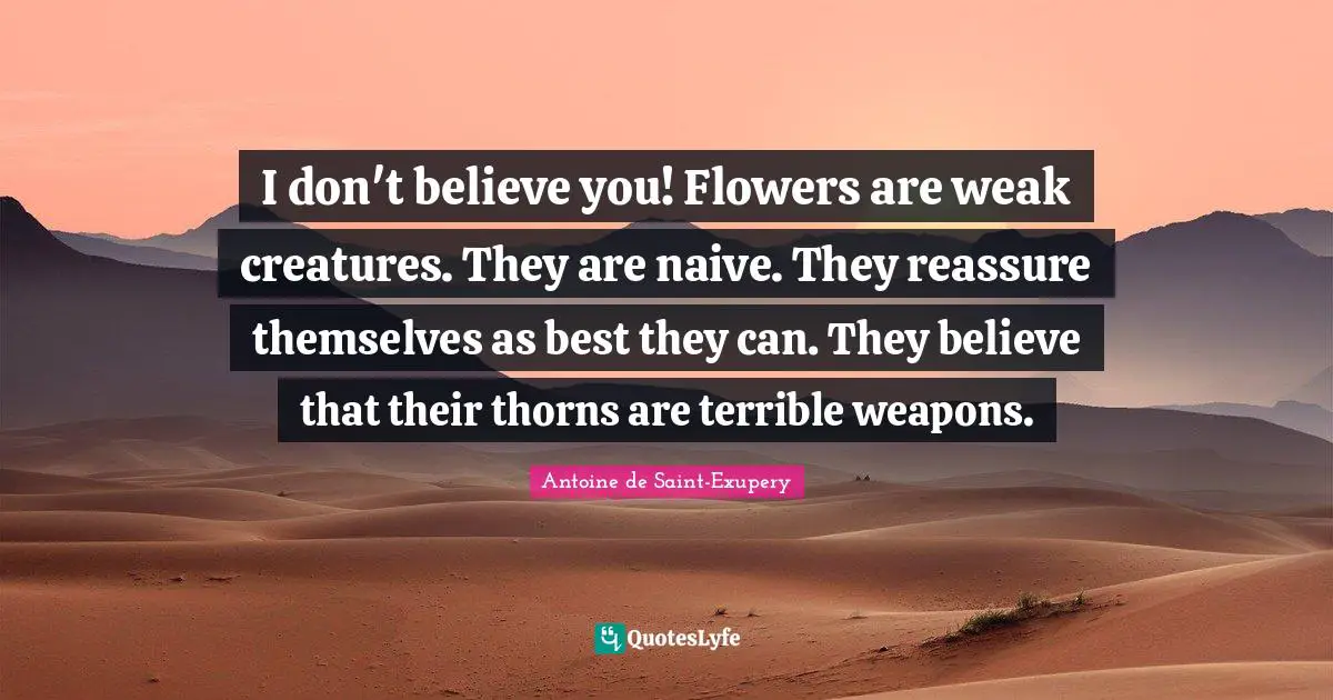 I don't believe you! Flowers are weak creatures. They are naive. They reassure themselves as best they can. They believe that their thorns are terrible weapons.