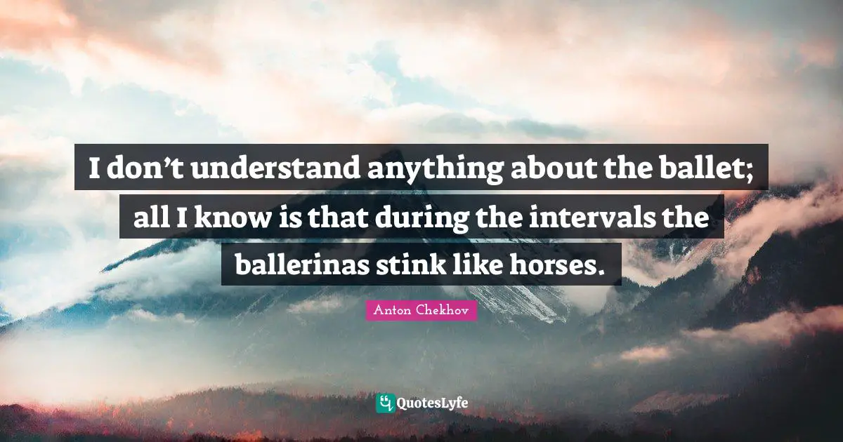 Stink Quotes: "I don’t understand anything about the ballet; all I know is that during the intervals the ballerinas stink like horses."