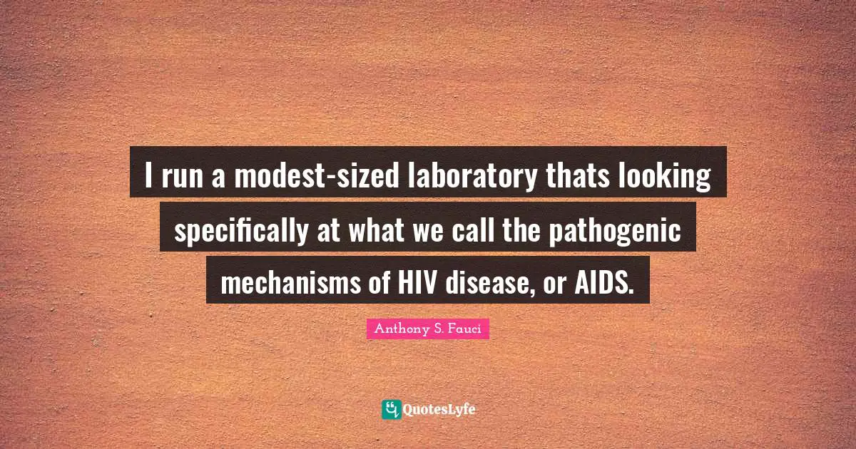 I run a modest-sized laboratory thats looking specifically at what we call the pathogenic mechanisms of HIV disease, or AIDS.