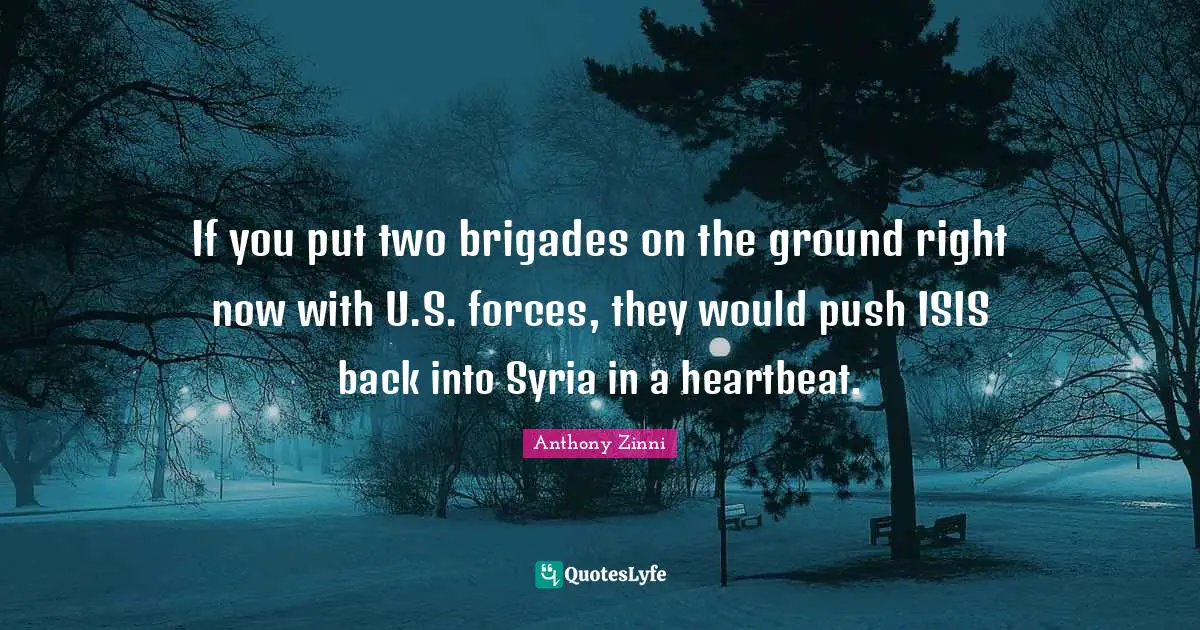 If you put two brigades on the ground right now with U.S. forces, they would push ISIS back into Syria in a heartbeat.