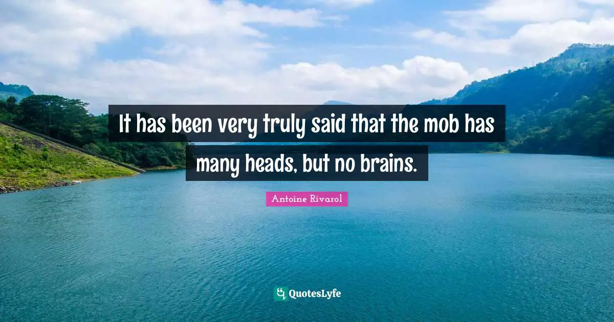 It has been very truly said that the mob has many heads, but no brains.