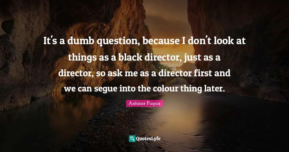 It's a dumb question, because I don't look at things as a black director, just as a director, so ask me as a director first and we can segue into the colour thing later.