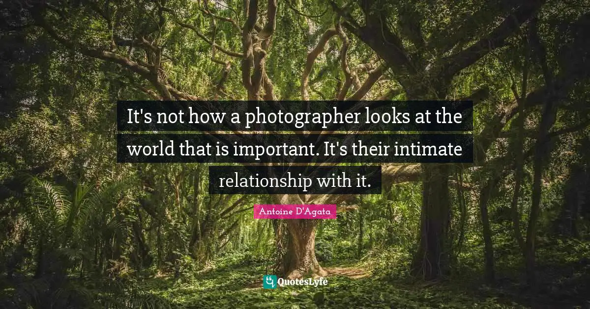 It's not how a photographer looks at the world that is important. It's their intimate relationship with it.