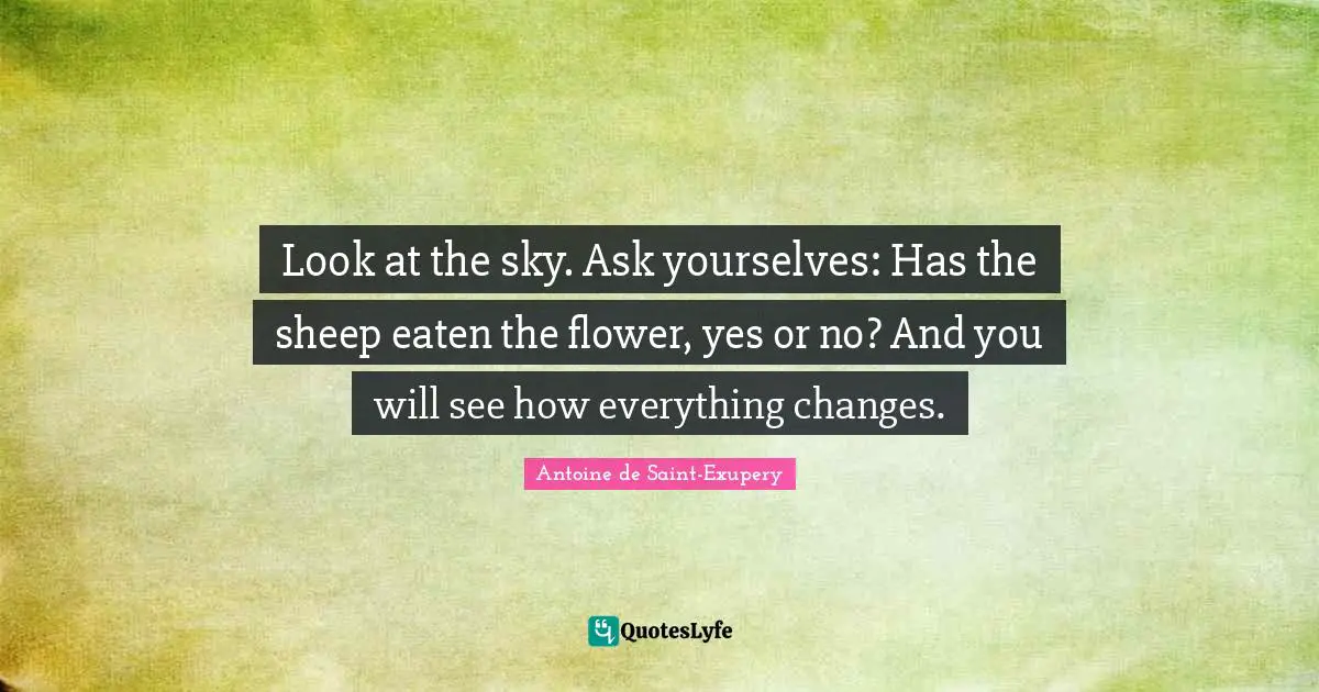 Look at the sky. Ask yourselves: Has the sheep eaten the flower, yes or no? And you will see how everything changes.
