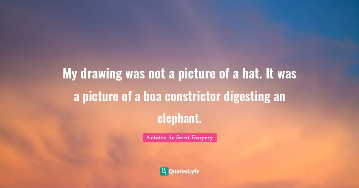 My drawing was not a picture of a hat. It was a picture of a boa constrictor digesting an elephant.