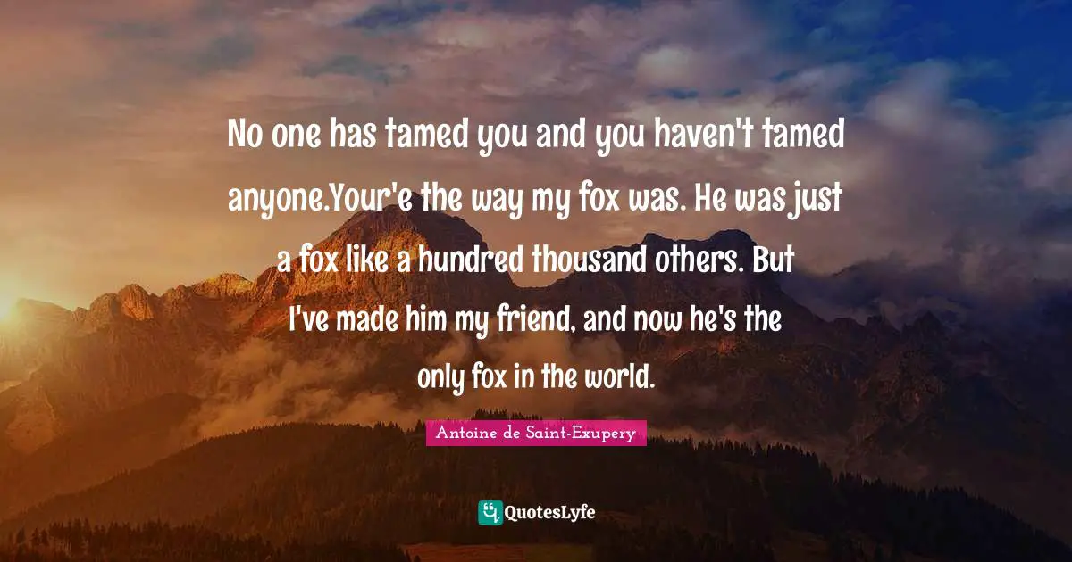No one has tamed you and you haven't tamed anyone.Your'e the way my fox was. He was just a fox like a hundred thousand others. But I've made him my friend, and now he's the only fox in the world.
