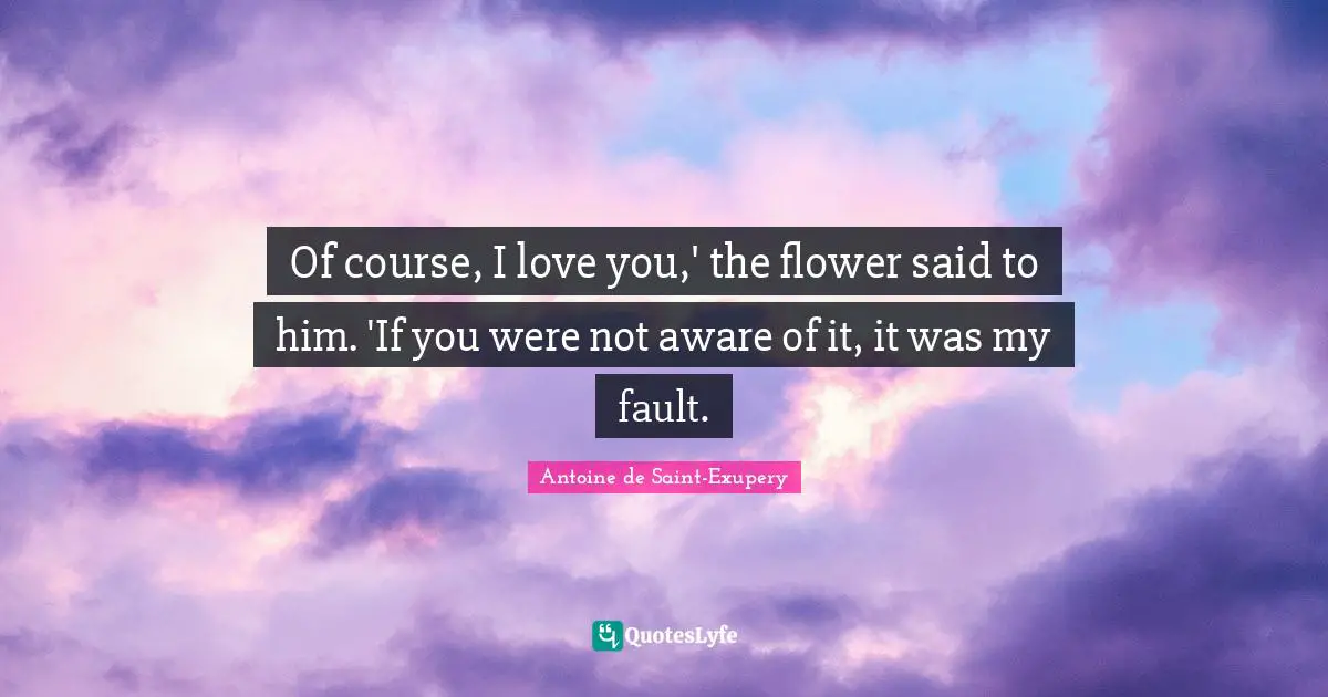 Of course, I love you,' the flower said to him. 'If you were not aware of it, it was my fault.