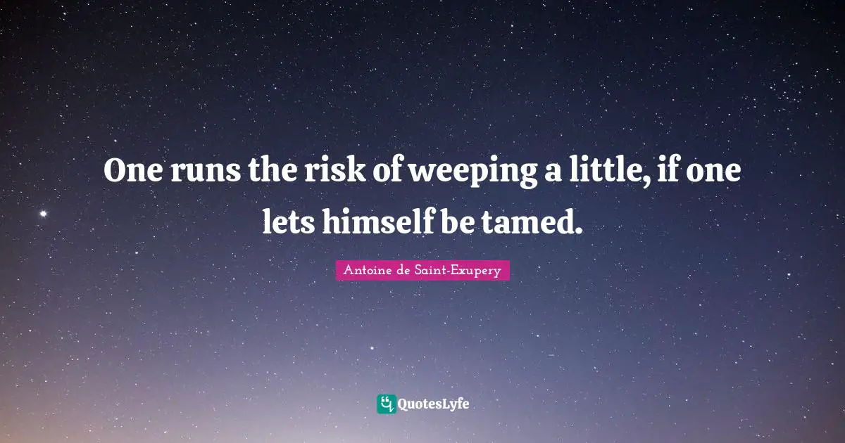 One runs the risk of weeping a little, if one lets himself be tamed.