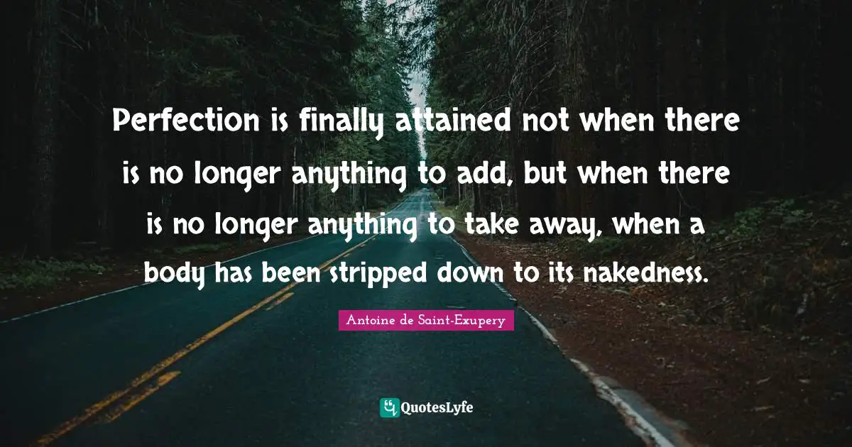 Perfection is finally attained not when there is no longer anything to add, but when there is no longer anything to take away, when a body has been stripped down to its nakedness.