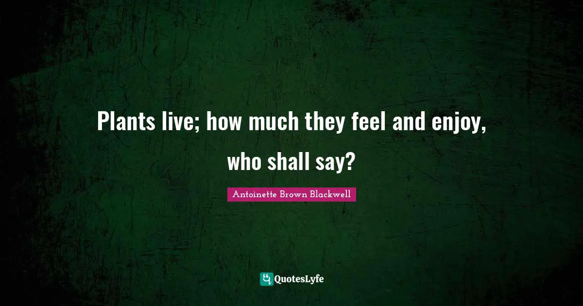 Plants live; how much they feel and enjoy, who shall say?