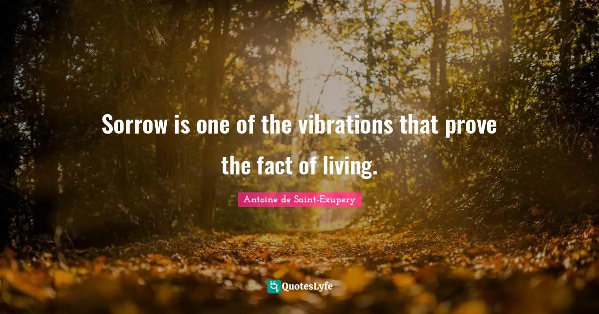 Sorrow is one of the vibrations that prove the fact of living.