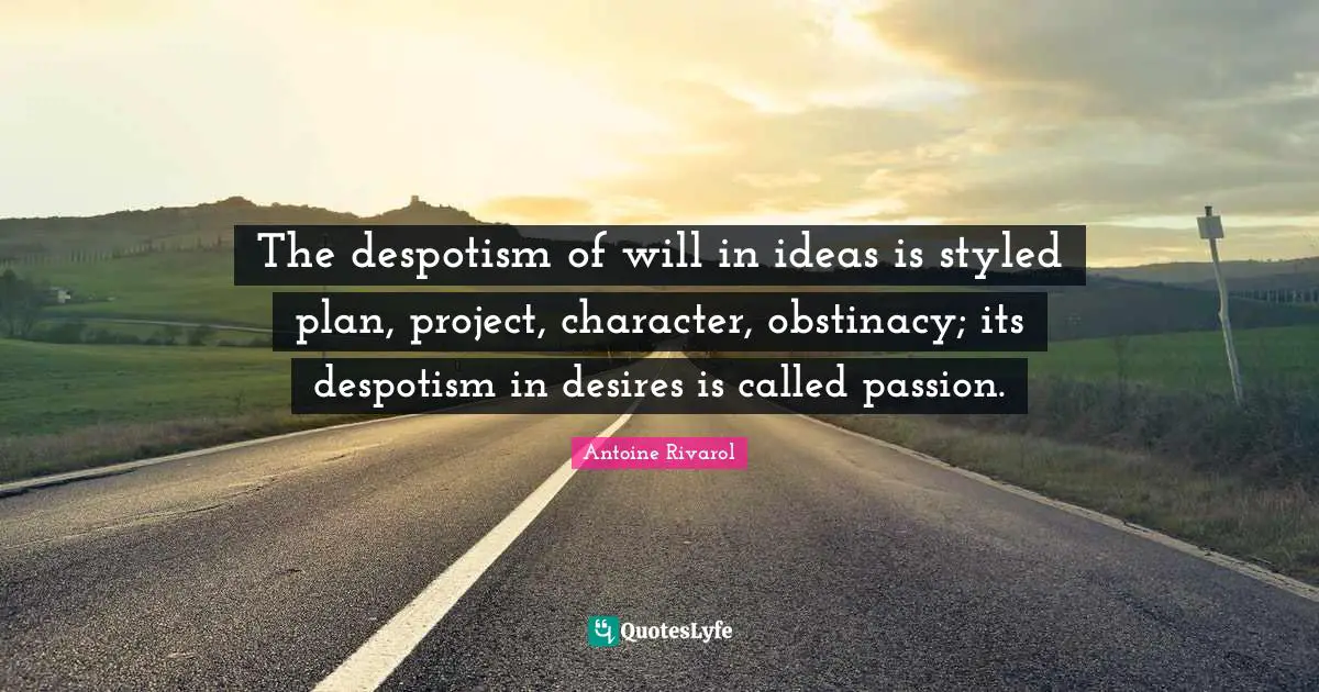The despotism of will in ideas is styled plan, project, character, obstinacy; its despotism in desires is called passion.