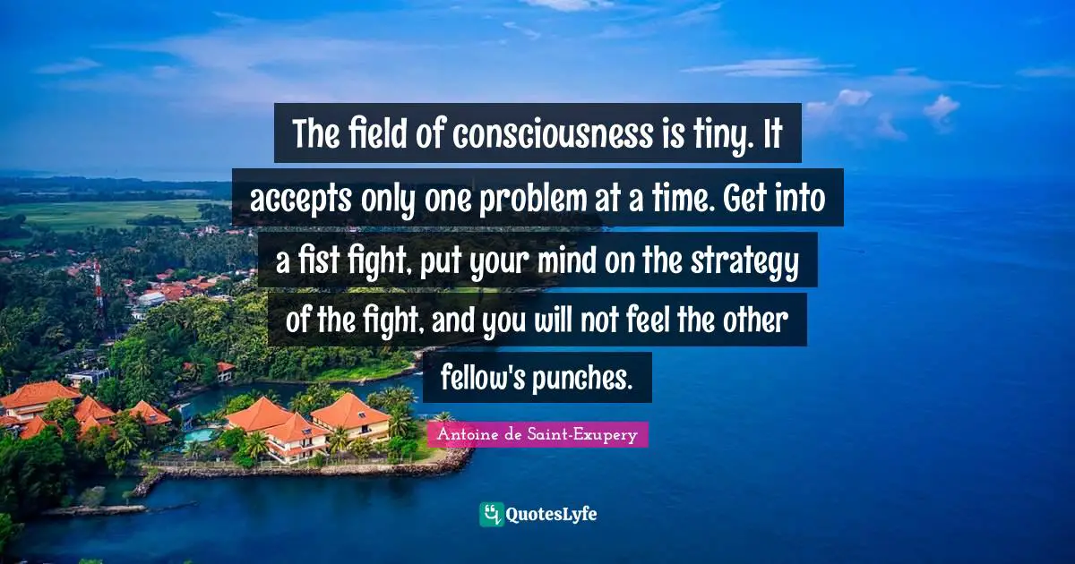 The field of consciousness is tiny. It accepts only one problem at a time. Get into a fist fight, put your mind on the strategy of the fight, and you will not feel the other fellow's punches.