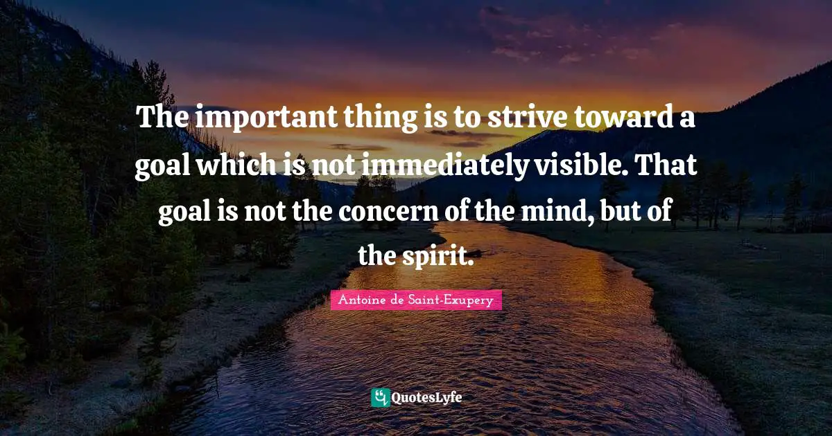 The important thing is to strive toward a goal which is not immediately visible. That goal is not the concern of the mind, but of the spirit.