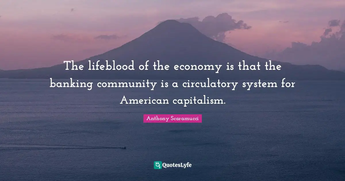 The lifeblood of the economy is that the banking community is a circulatory system for American capitalism.