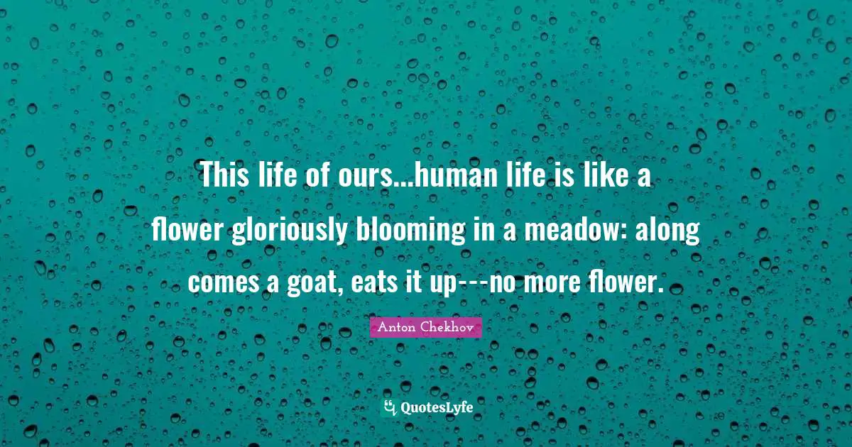 This life of ours...human life is like a flower gloriously blooming in a meadow: along comes a goat, eats it up---no more flower.