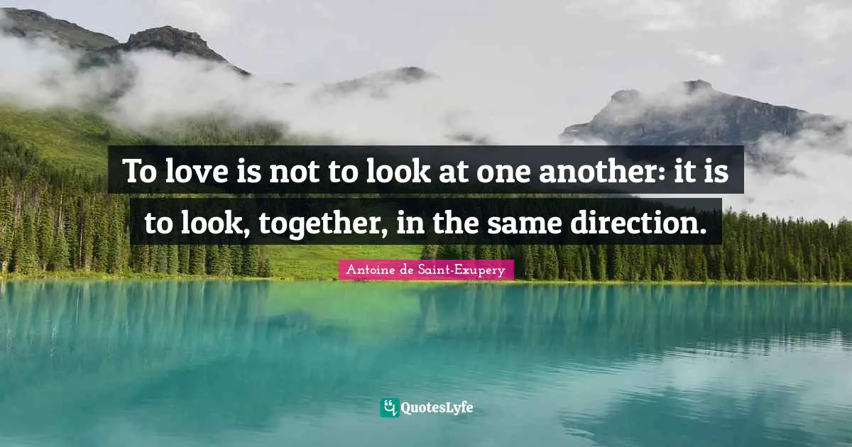 Antoine De Saint Exupery Quotes: "To love is not to look at one another: it is to look, together, in the same direction."