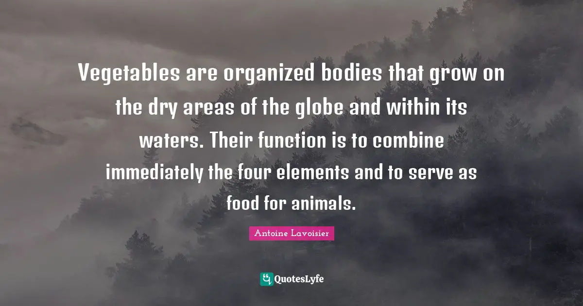 Vegetables are organized bodies that grow on the dry areas of the globe and within its waters. Their function is to combine immediately the four elements and to serve as food for animals.