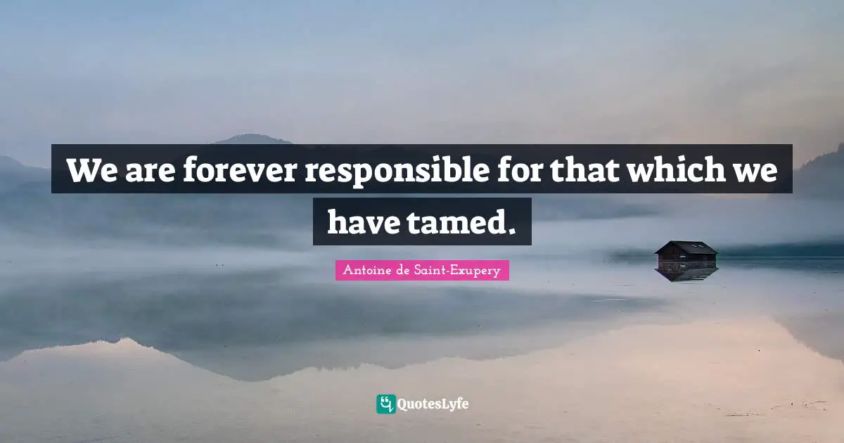 We are forever responsible for that which we have tamed.