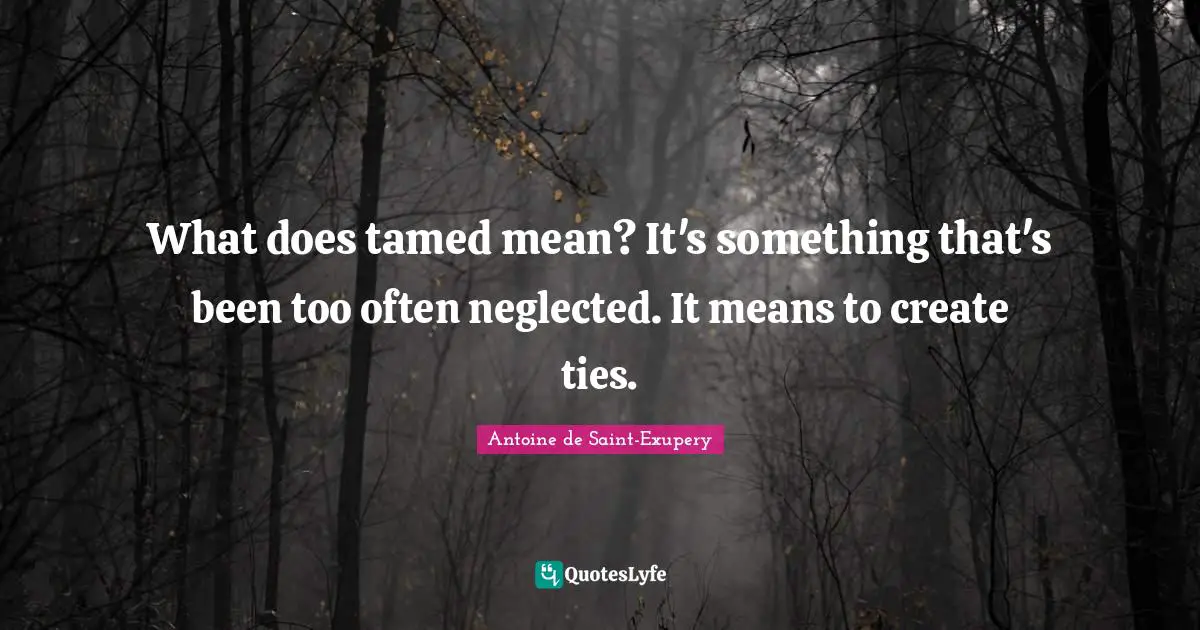 What does tamed mean? It's something that's been too often neglected. It means to create ties.