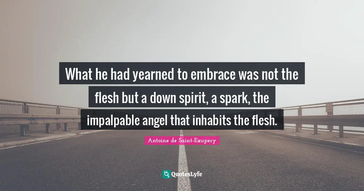 What he had yearned to embrace was not the flesh but a down spirit, a spark, the impalpable angel that inhabits the flesh.