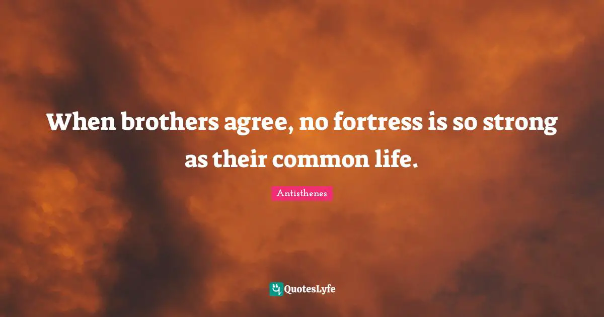 Brother Quotes: "When brothers agree, no fortress is so strong as their common life."