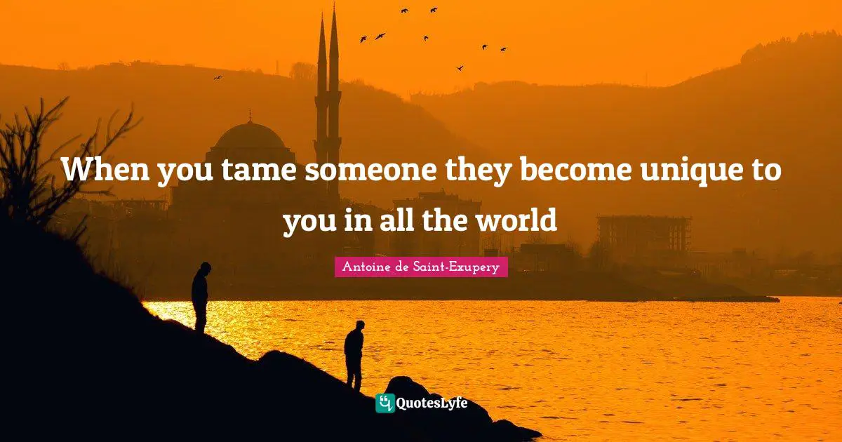 When you tame someone they become unique to you in all the world