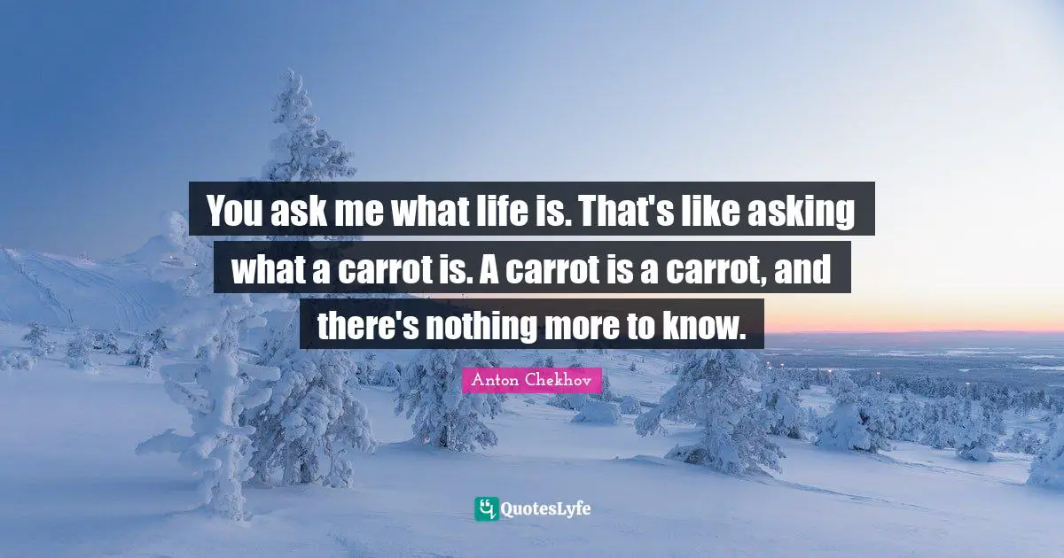 You ask me what life is. That's like asking what a carrot is. A carrot is a carrot, and there's nothing more to know.