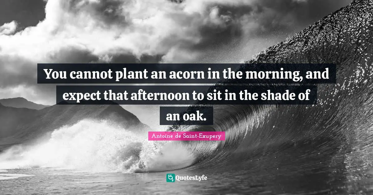 Antoine De Saint Exupery Quotes: "You cannot plant an acorn in the morning, and expect that afternoon to sit in the shade of an oak."