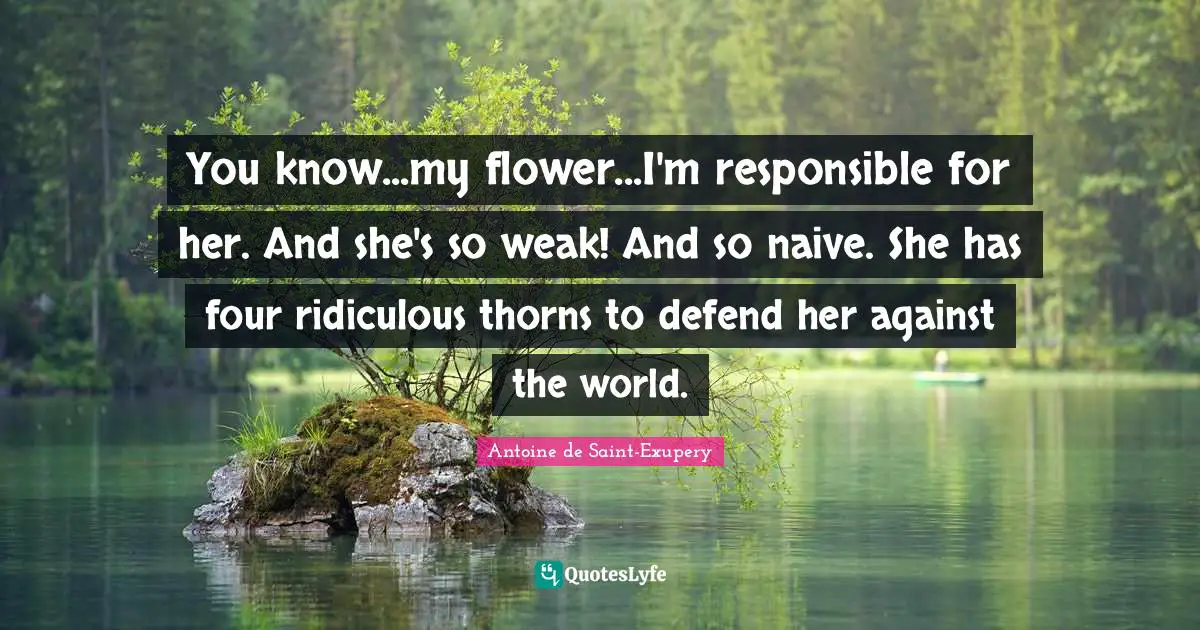 You know...my flower...I'm responsible for her. And she's so weak! And so naive. She has four ridiculous thorns to defend her against the world.