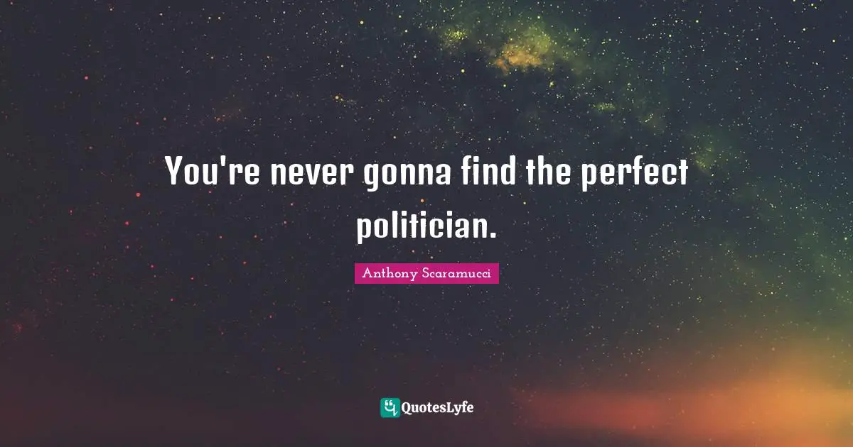 You're never gonna find the perfect politician.