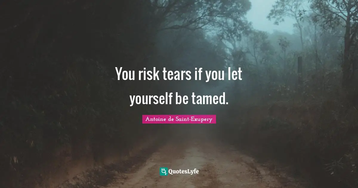 You risk tears if you let yourself be tamed.